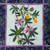 Lilikoi