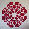 Ohelo Berry